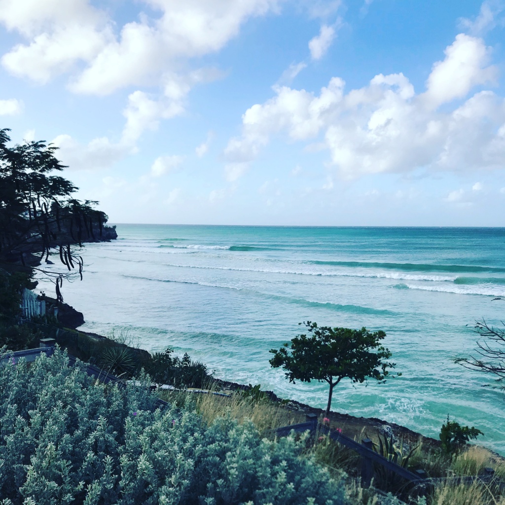 Barbados Surfing Winter 2019-2020